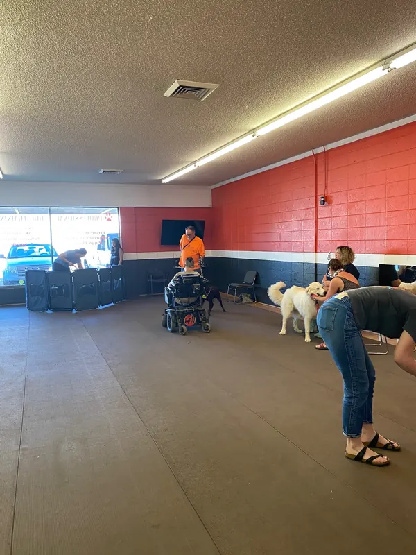 Clients and dogs in a Prodogz Dog Training basic obedience class led by Jason Lake in Medford, Oregon — June 1, 2020, photo 6