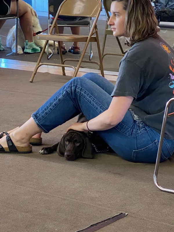 Clients and dogs in a Prodogz Dog Training basic obedience class led by Jason Lake in Medford, Oregon — June 1, 2020, photo 8