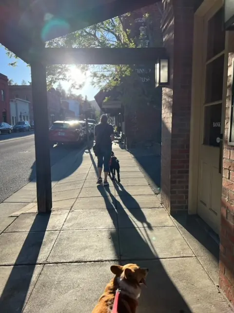 Clients and dogs practicing leash walking with Jason Lake in a Prodogz Move & Groove class in Medford, Oregon — May 14, 2024, photo 11