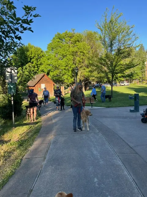 Clients and dogs practicing leash walking with Jason Lake in a Prodogz Move & Groove class in Medford, Oregon — May 14, 2024, photo 12
