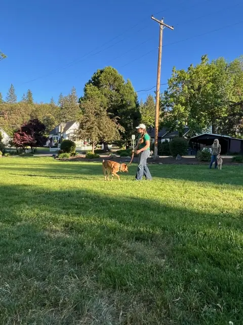 Clients and dogs practicing leash walking with Jason Lake in a Prodogz Move & Groove class in Medford, Oregon — May 14, 2024, photo 13