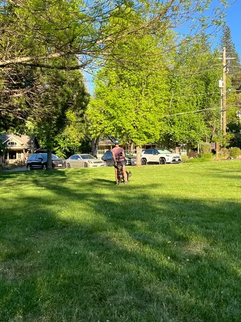 Clients and dogs practicing leash walking with Jason Lake in a Prodogz Move & Groove class in Medford, Oregon — May 14, 2024, photo 19