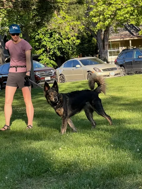 Clients and dogs practicing leash walking with Jason Lake in a Prodogz Move & Groove class in Medford, Oregon — May 14, 2024, photo 20