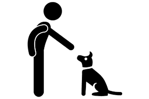 Destructive Behavior