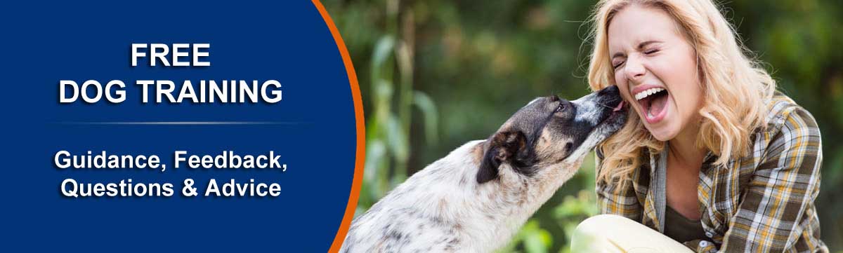 FREE Dog Training