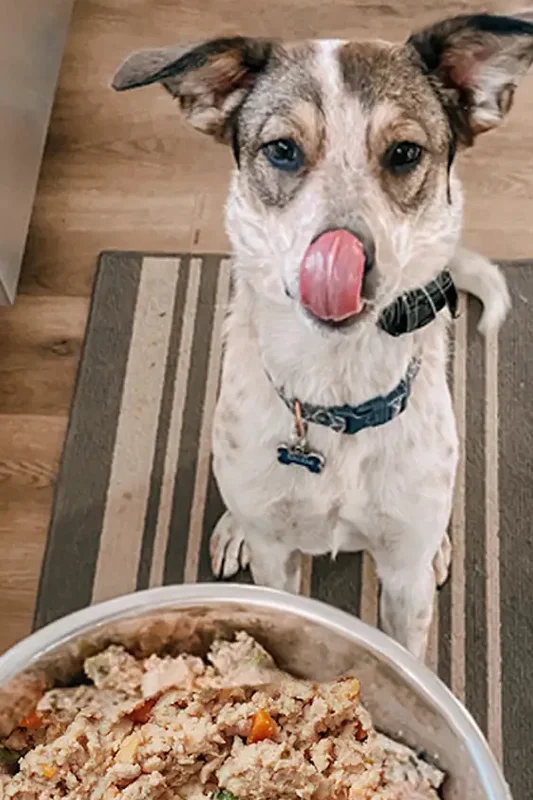 Dog food delivery Rogue Valley