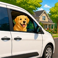 Prodogz pet taxi vehicle serving Medford city limits