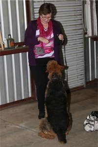 Personalized Dog Instruction Southern Oregon