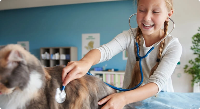 Service dog detail training